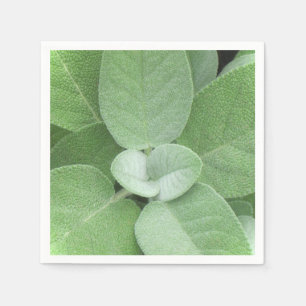 Servilleta De Papel Herbal Napkin