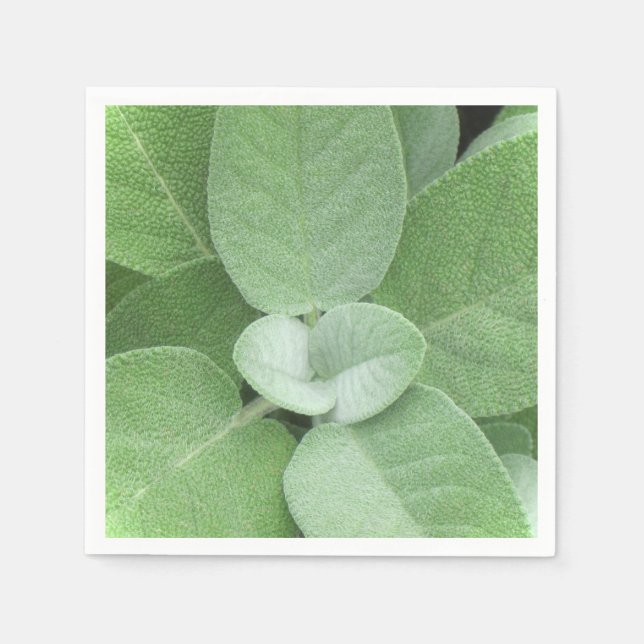 Servilleta De Papel Herbal Napkin (Anverso)