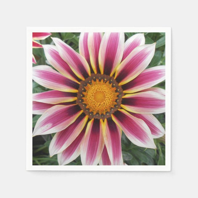 Servilleta De Papel Hereford (Anverso)