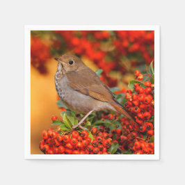 Servilleta De Papel Hermit Thrush Songbird en el Fuego de Escarlata