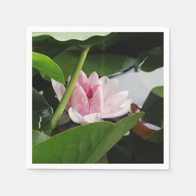 Servilleta De Papel Hermosa Cocktail de Lotus Flower Napkin (Anverso)