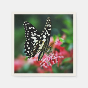 Servilleta De Papel Hermosa mariposa en la flor roja