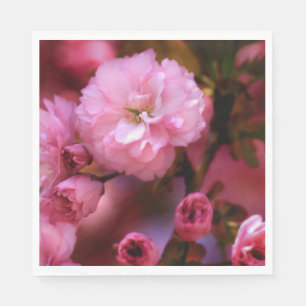 Servilleta De Papel Hermosas flores de cerezo rosado de primavera