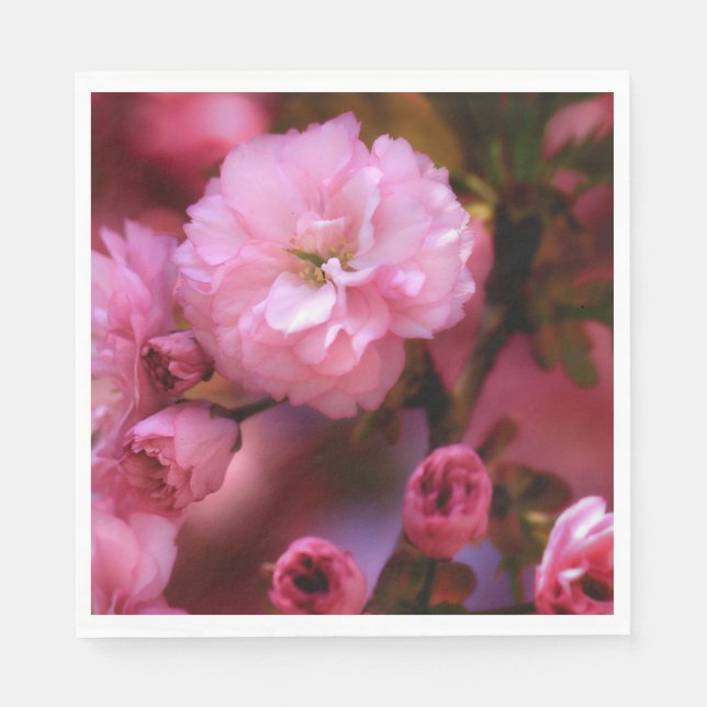 Servilleta De Papel Hermosas flores de cerezo rosado de primavera (Anverso)
