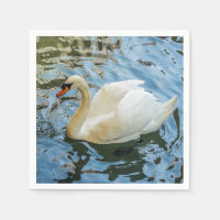 Hermoso cisne blanco