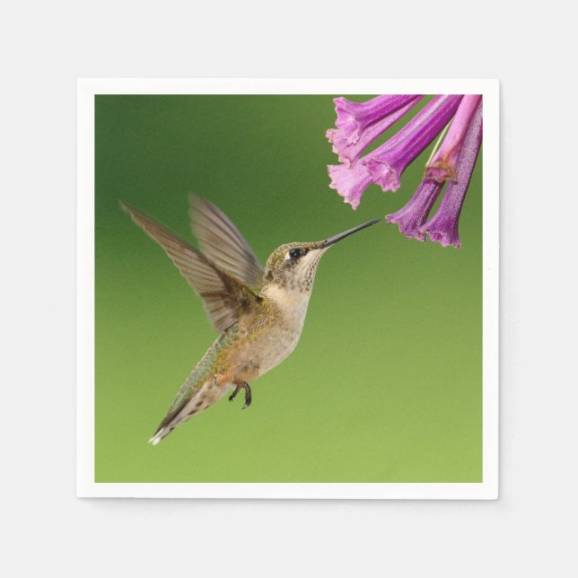 Servilleta De Papel Hermoso paisaje natural de Colibrí (Anverso)