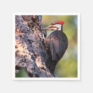 Servilleta De Papel Hermoso pájaro carpintero apilado en el árbol