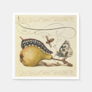 Servilleta De Papel Hoefnagel Vintage Pera & Insectos 1500s Renacimien