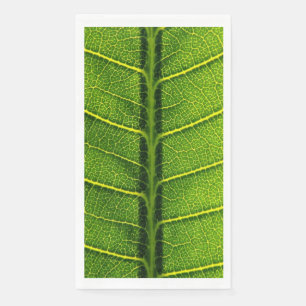 Servilleta De Papel Hoja verde