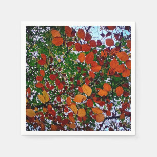 Servilleta De Papel Hojas amarillas, verdes y marrones