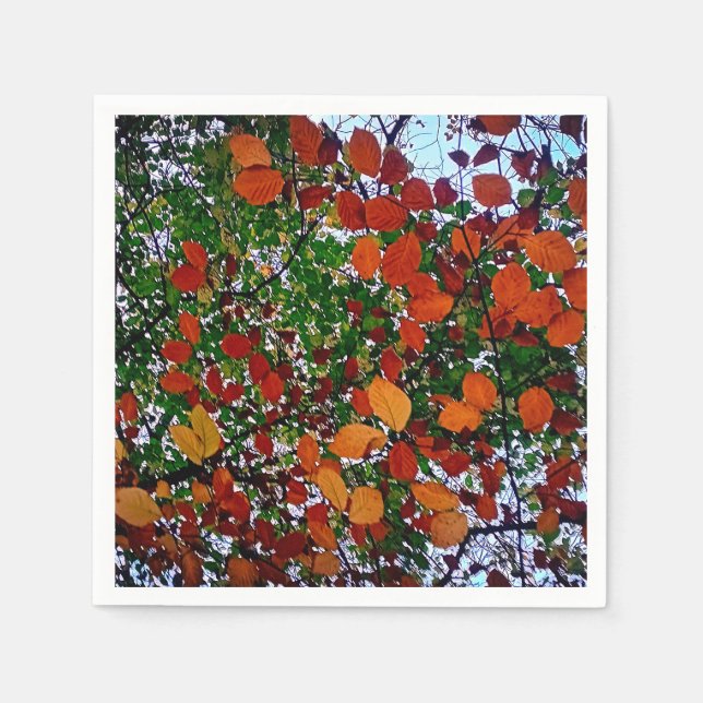 Servilleta De Papel Hojas amarillas, verdes y marrones (Anverso)