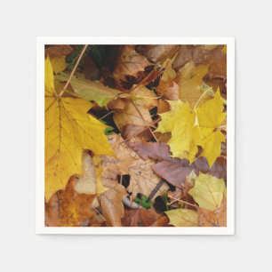 Servilleta De Papel Hojas de Arce Caídas Amarillas Otoño Naturaleza