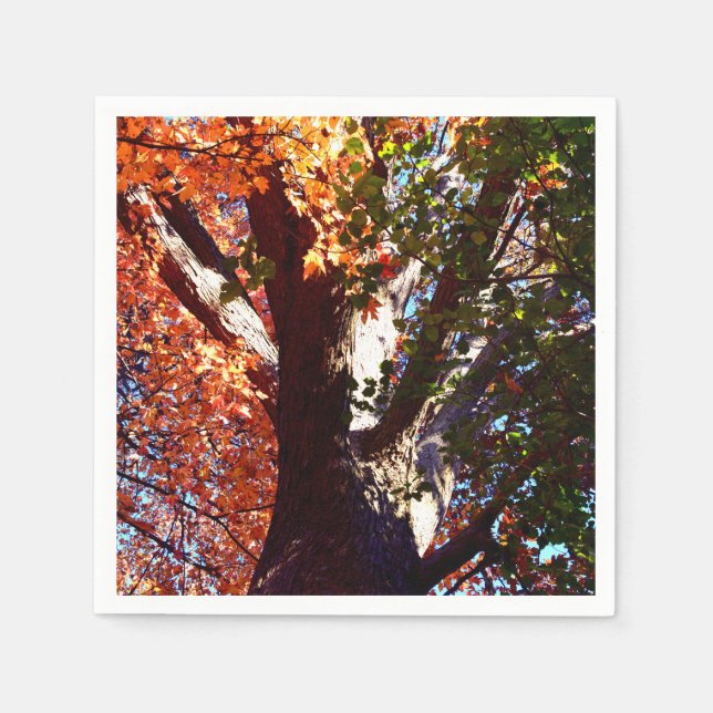 Servilleta De Papel Hojas del bosque de arce otoño botánicas (Anverso)