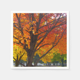 Servilleta De Papel Hojas otoñales de foto amarilla y Naranja