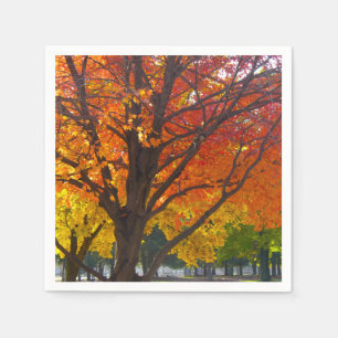 Servilleta De Papel Hojas otoñales de foto amarilla y Naranja