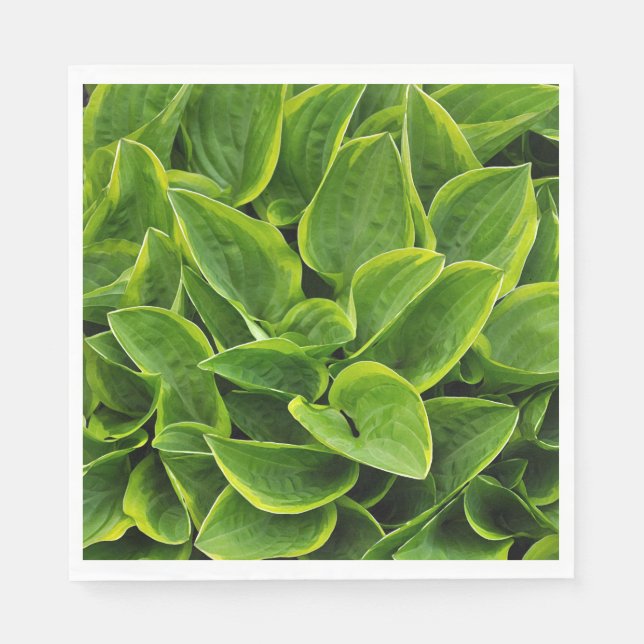 Servilleta De Papel Hojas verdes de la planta del hosta (Anverso)