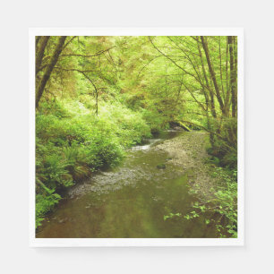 Servilleta De Papel Hombre perdido en el parque nacional Redwood