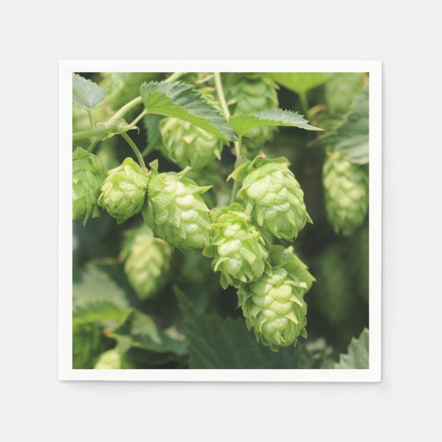 Servilleta De Papel Hoppy hops fiesta (Anverso)
