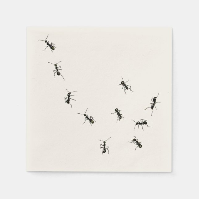 Servilleta De Papel hormigas marchantes (Anverso)