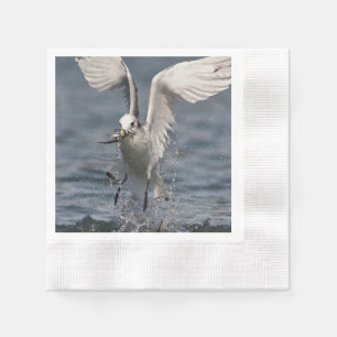 Servilleta De Papel Hovering Kittiwake