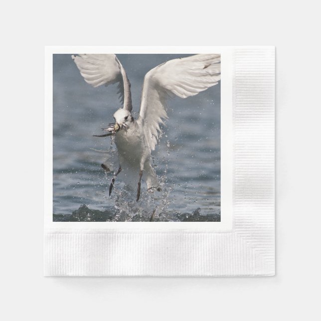 Servilleta De Papel Hovering Kittiwake (Anverso)