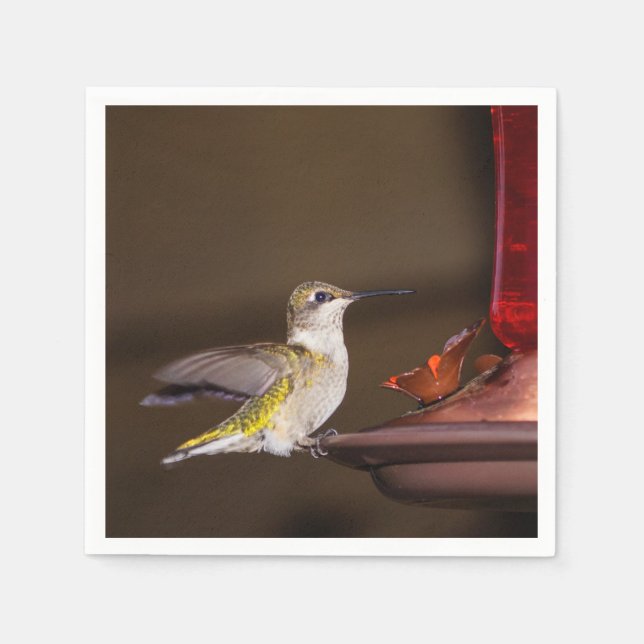 Servilleta De Papel Hummingbird (Anverso)