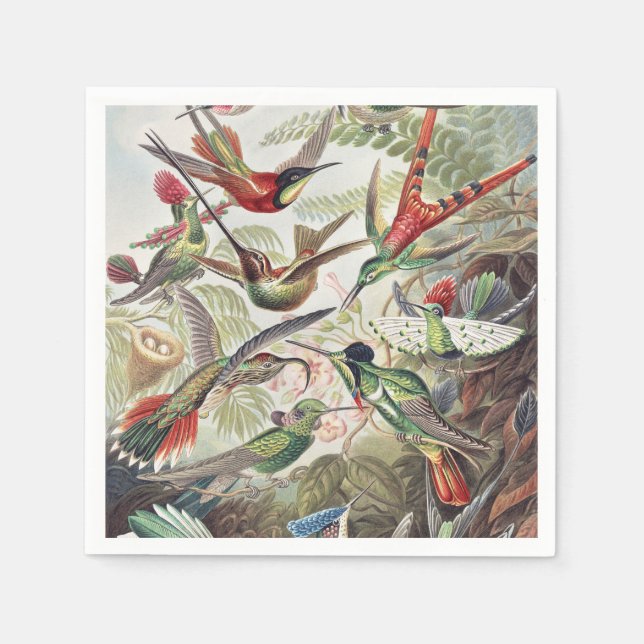 Servilleta De Papel Hummingbird Bird Wildlife Classic Painting (Anverso)