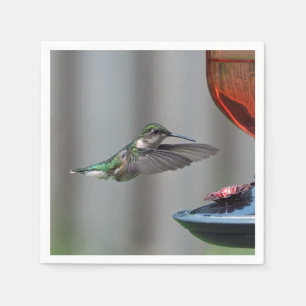 Servilleta De Papel Hummingbird Fotografía de Alimentador Rojo