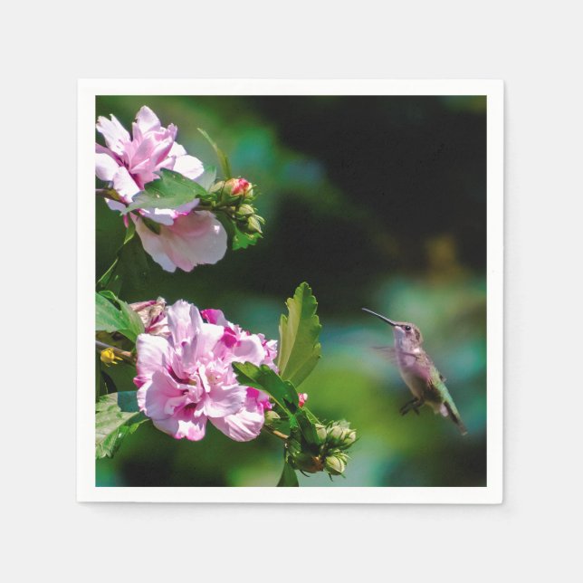 Servilleta De Papel Hummingbird - Fotografía original (Anverso)