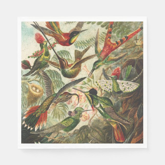 Servilleta De Papel Hummingbird Napkins o Decoupage (Anverso)
