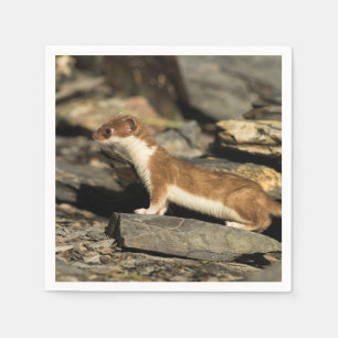 Servilleta De Papel Hunting Weasel