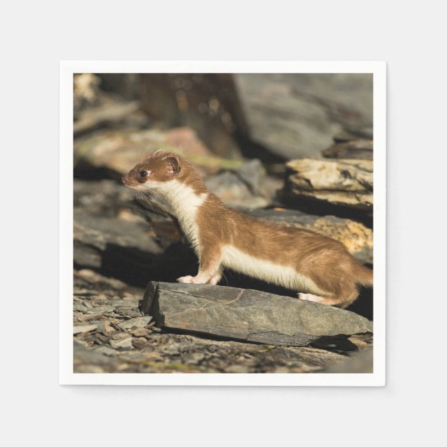 Servilleta De Papel Hunting Weasel (Anverso)