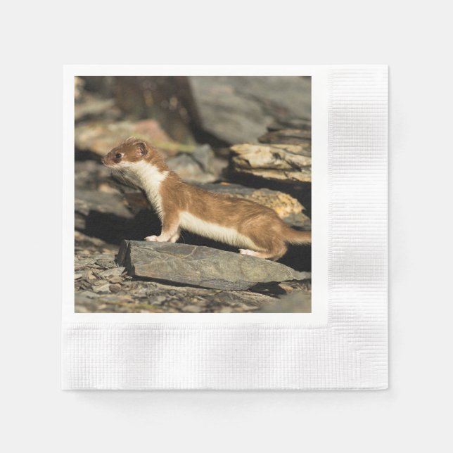 Servilleta De Papel Hunting Weasel (Anverso)