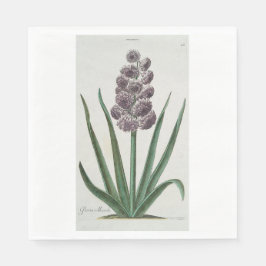 Servilleta De Papel Hyacinth Flower (por Johann Michael Seligmann)