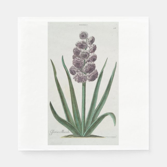 Servilleta De Papel Hyacinth Flower (por Johann Michael Seligmann) (Anverso)