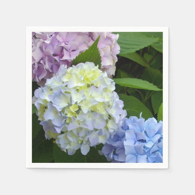Servilleta De Papel Hydrangeas (Anverso)