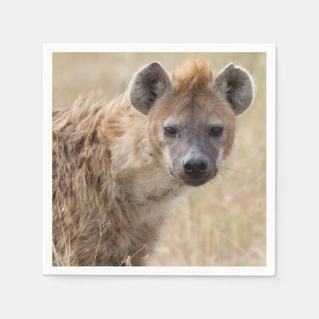 Servilleta De Papel Hyena (Anverso)