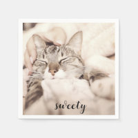 I love my sweet little cat photo