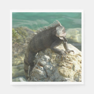 Servilleta De Papel Iguana en las rocas en St. Thomas