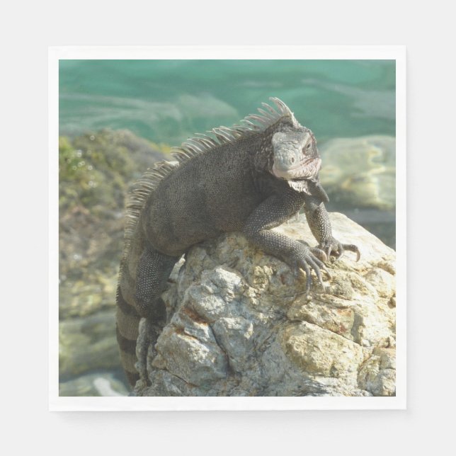 Servilleta De Papel Iguana en las rocas en St. Thomas (Anverso)