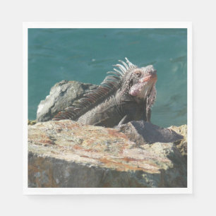 Servilleta De Papel Iguana en St. Thomas