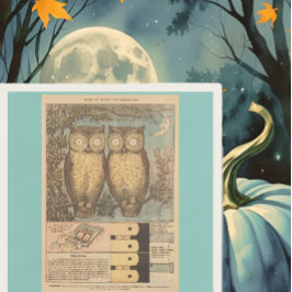 Servilleta De Papel Ilustracion de arte de búho vintage lindo otoño