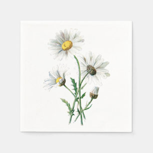 Servilleta De Papel Ilustracion de la flor de la margarita blanca del
