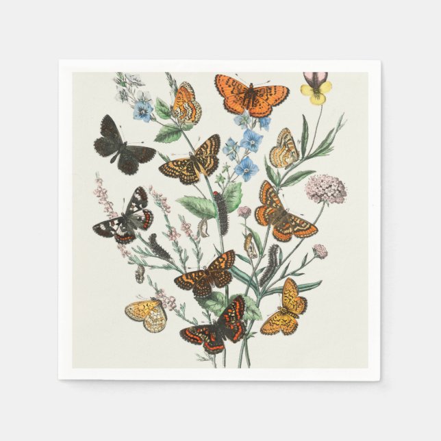Servilleta De Papel Ilustracion de mariposas en las flores (Anverso)