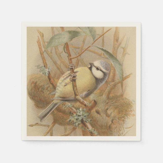 Servilleta De Papel Ilustración Vintage de Herrerillo Común (Anverso)