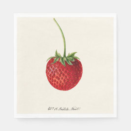 Servilleta De Papel Ilustracion Vintage One Red Strawberry