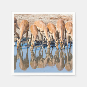 Servilleta De Papel Impalas at the waterhole