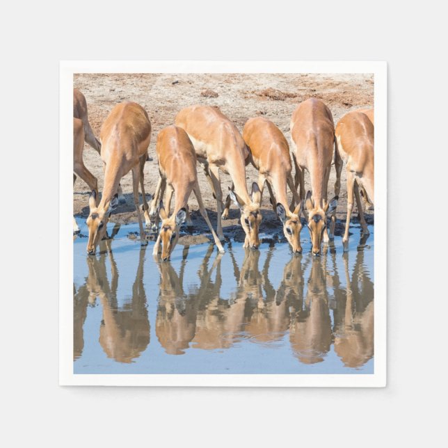 Servilleta De Papel Impalas at the waterhole (Anverso)