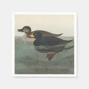 Servilleta De Papel Impresión de Negrón Americano de Audubon: Pato Cos