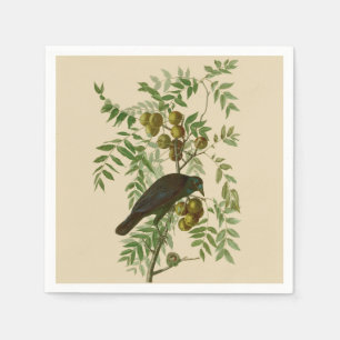 Servilleta De Papel Impresión de pájaro Grackle púrpura de Audubon Vin